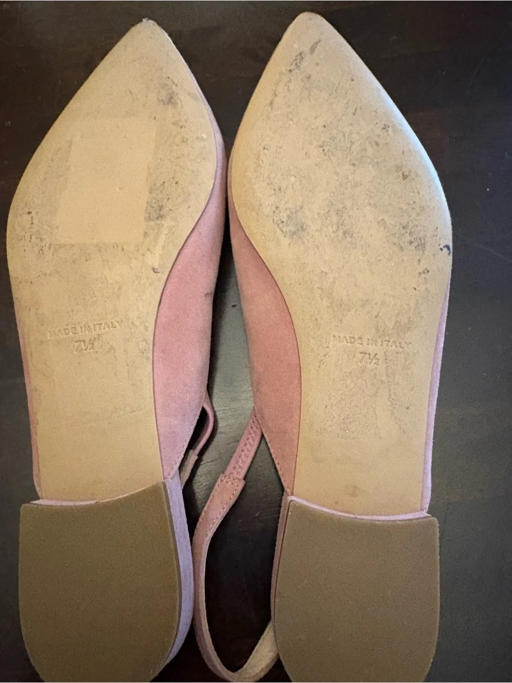 Everlane Blush Suede Pointed Slingback Flats
